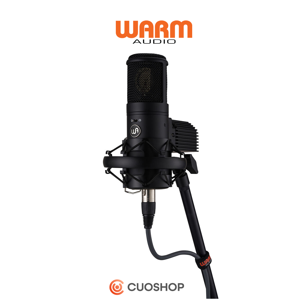 WARM AUDIO WA-8000 웜오디오 WA8000 진공관 마이크