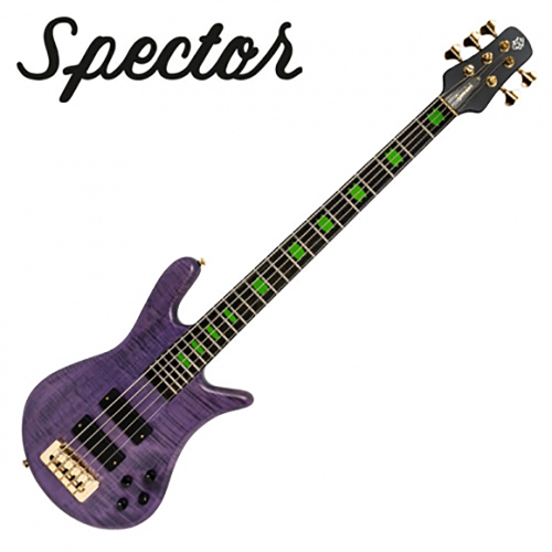 Spector 스펙터 베이스 Skyler Acord Signature Model Violet Satin Matte 색상