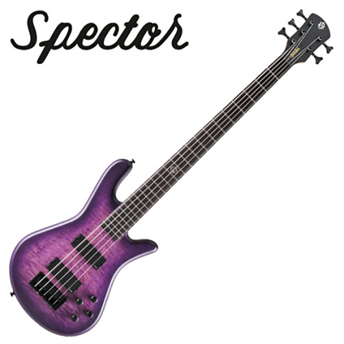 Spector 스펙터 베이스 NS Pulse II 5 Ultra Violet Matte 색상