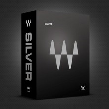 Waves 웨이브즈 Silver 전자배송